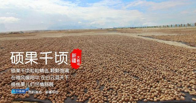 首页- AG8亚洲游集团中国官方网站