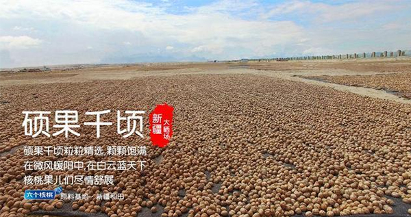 首页- AG8亚洲游集团中国官方网站