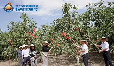 首页- AG8亚洲游集团中国官方网站