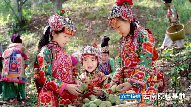 首页- AG8亚洲游集团中国官方网站