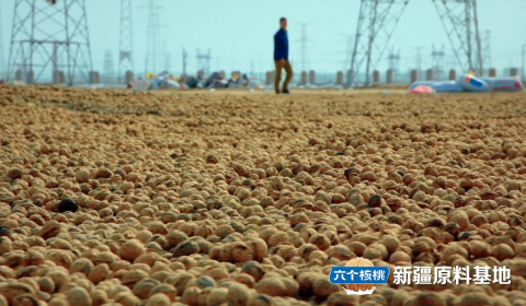首页- AG8亚洲游集团中国官方网站